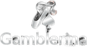 Gamblerina